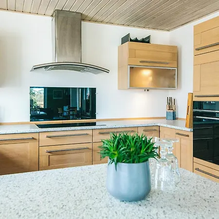 Vi Holiday home